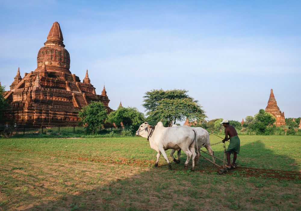 HERITAGE CULTUREL ET RENCONTRES COMMUNAUTAIRES AU MYANMAR - 